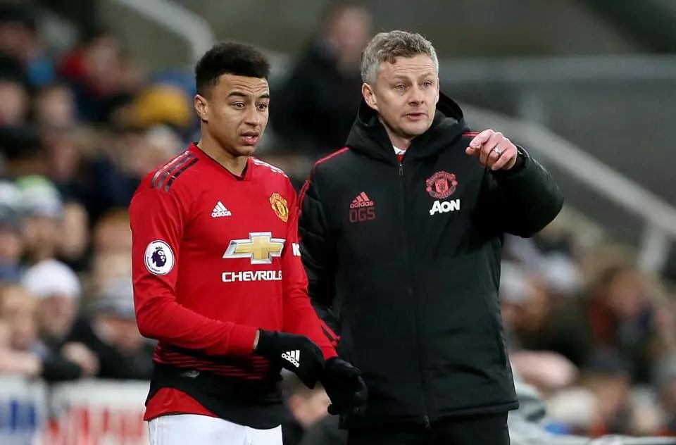 构建多样化 构建多样化